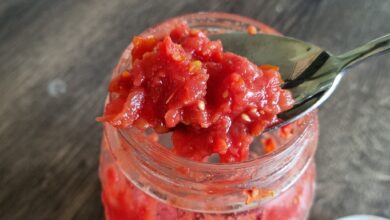 Fermenteret tomatpassata